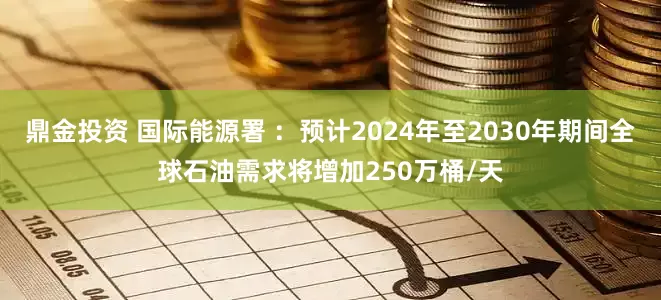 鼎金投资 国际能源署 ：预计2024年至2030年期间全球石油需求将增加250万桶/天